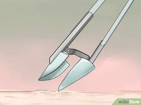 Image titled Dig Pacific Razor Clams Step 2