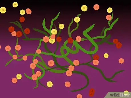 Image titled Build on the Rock (Jesus) Step 20