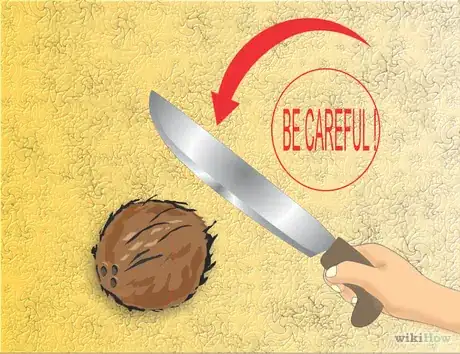 Image titled Coco shell Step 2.png