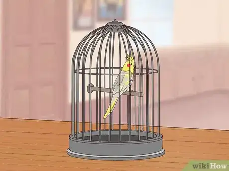 Image titled Treat Chlamydiosis in Cockatiels Step 9