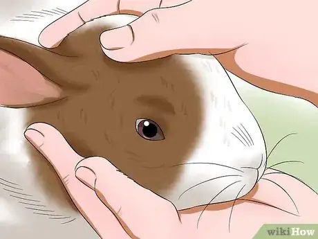 Image titled Deliver Eye Medication to Rabbits Step 6