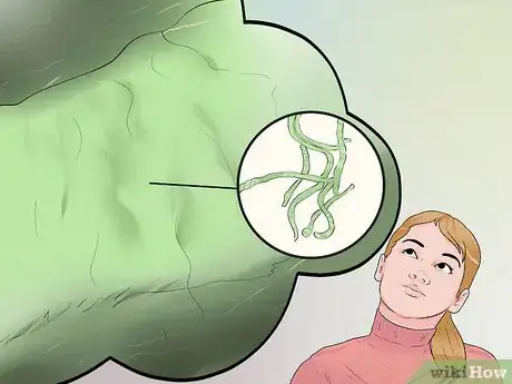 Image titled Avoid Algae Bloom Toxin Step 9