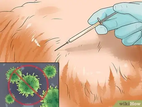 Image titled Care for Labradoodles Step 12