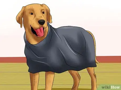 Image titled Make a Plastic Bag Poncho for Your Dog Step 8