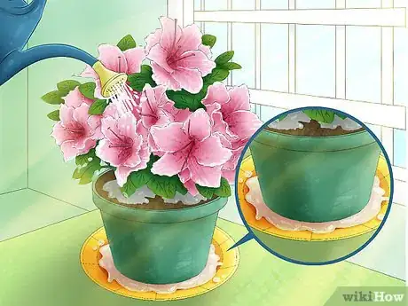 Image titled Select Blooming Houseplants Step 4