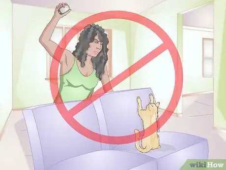 Image titled Use a Spray Bottle on a Cat for Training Step 13