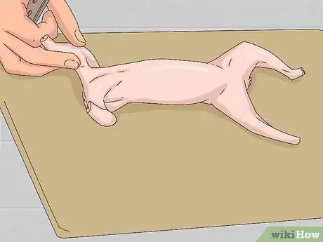 Image titled Skin a Squirrel Step 14