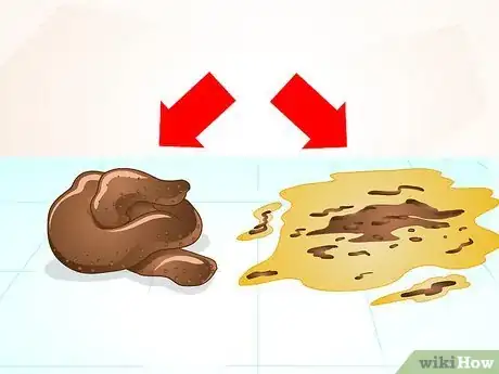 Image titled Firm Up Your Dog's Stool Step 1