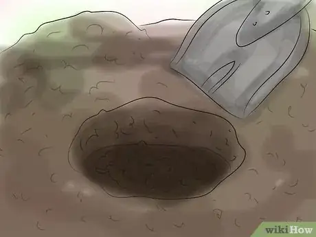 Image titled Grow Astilbe Step 6