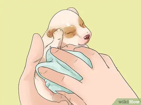 Image titled Whelp Large Breed Dogs Step 7