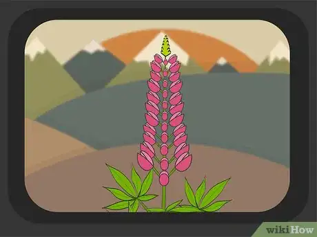 Image titled Take Photos of Mountains Step 18