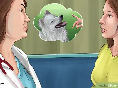 Image titled Keep Your Dog Under Control Outside Step 12