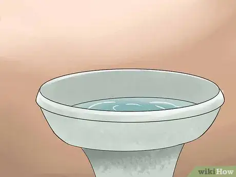 Image titled Tame Pigeons to Be out of Cage Permanently Step 21