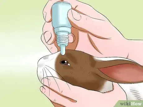 Image titled Deliver Eye Medication to Rabbits Step 7