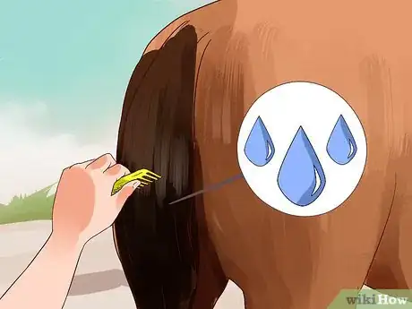 Image titled Apply a Horse Tail Bandage Step 3