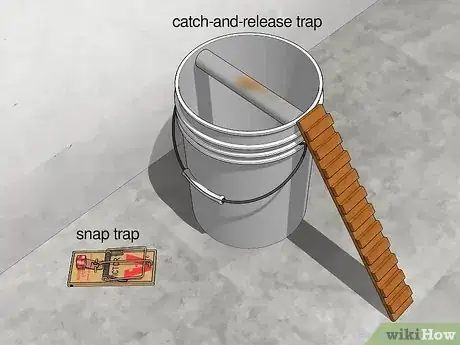 Image titled Keep Mice Out of Your House Step 14