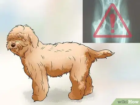 Image titled Care for Labradoodles Step 15
