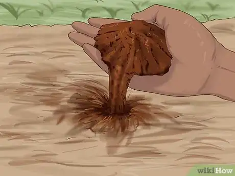 Image titled Recycle Coffee Grounds From Your Coffee Maker Step 7