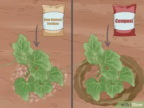 Image titled Grow Bottle Gourds Step 11