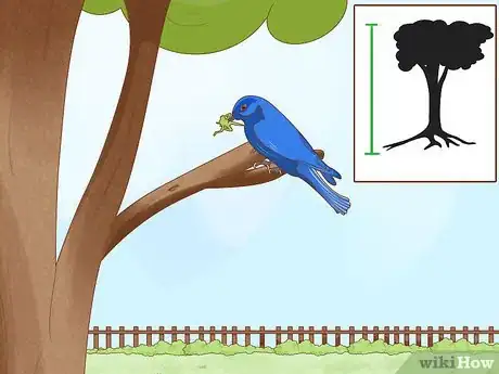 Image titled Attract Eastern Bluebirds Step 9