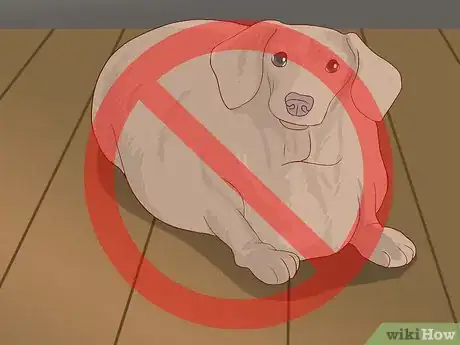 Image titled Feed an Older Dog with Heart Disease Step 6