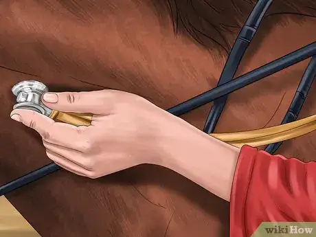 Image titled Spot Early Signs of Lameness in Horses Step 8