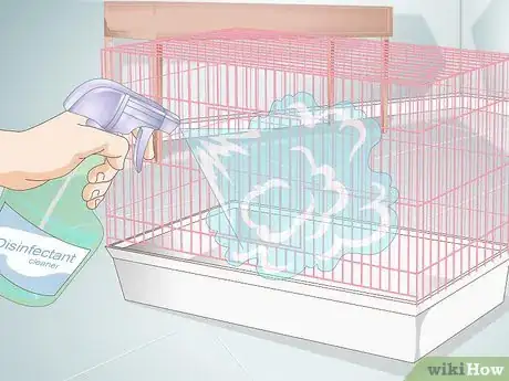 Image titled Treat Pinworms in Mice Step 7