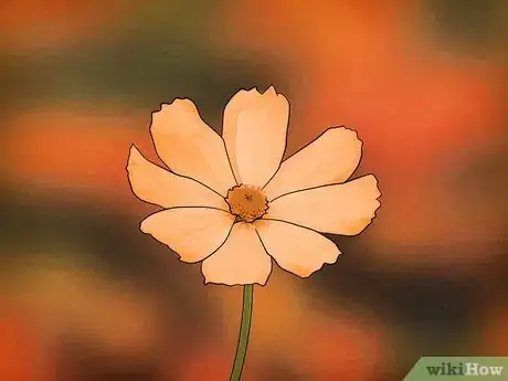 Image titled Grow Cosmos Flowers Step 4