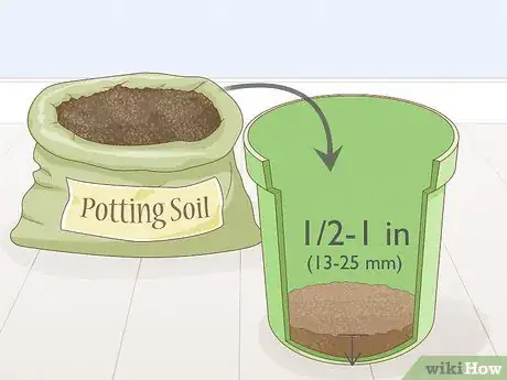 Image titled Grow New Guinea Impatiens Indoors Step 3