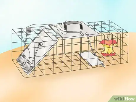 Image titled Trap a Rabbit Step 3