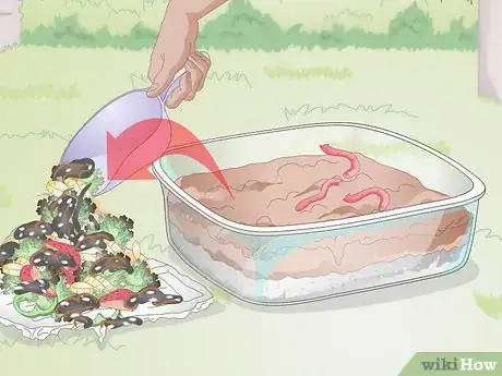 Image titled Build a Wormery Step 14