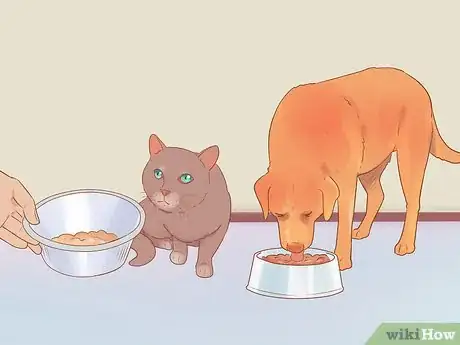 Image titled Keep a Pet When You Have Cats Step 8
