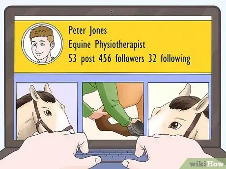 Image titled Become an Equine Physiotherapist Step 15