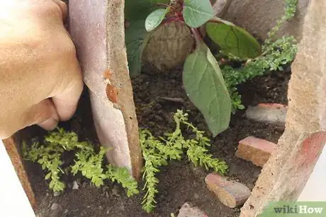 Image titled Make a Fairy Garden from Broken Pots Step 5
