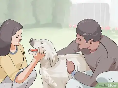 Image titled Have a Successful First Day with a New Dog Step 13