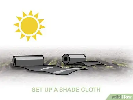 Image titled Grow Vegetables in the West Step 11