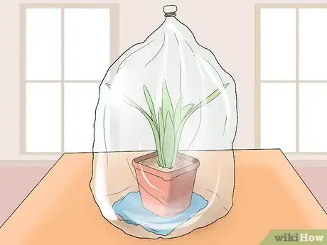 Image titled Water Plants While You're Away Step 31