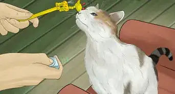 Prevent an Energetic Kitten from Hurting Itself