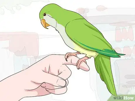 Image titled Entertain a Quaker Parrot Step 8
