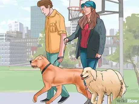 Image titled Walk Two Dogs at the Same Time on Leashes Step 7