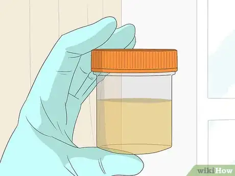 Image titled Get Tested for Zika Step 7