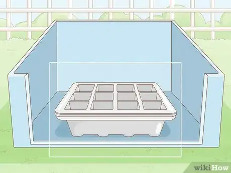 Image titled Grow Tobacco Inside Step 1