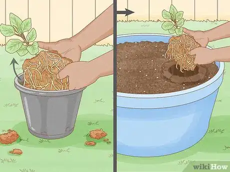 Image titled Grow a Container Garden Step 7