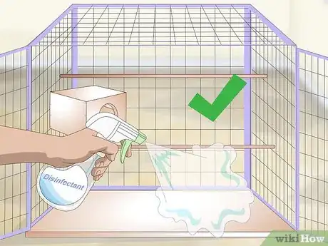 Image titled Clean and Maintain Lory and Lorikeet Habitats Step 5