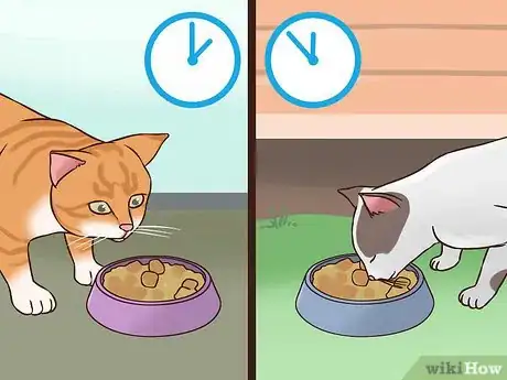 Image titled Treat Obesity in Cats Step 13