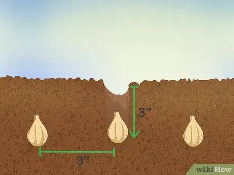 Image titled Plant Snowdrops Step 3