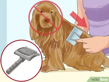 Image titled Groom a Sussex Spaniel Step 2