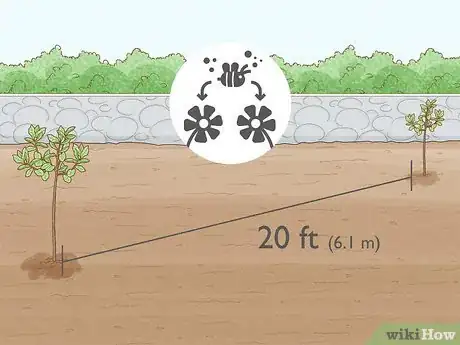 Image titled Keep a Pear Tree Healthy Step 3