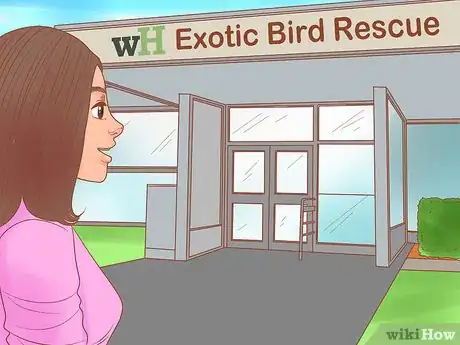 Image titled Know if Lories and Lorikeets Are Right for You Step 14