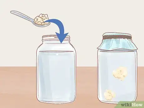 Image titled Drink Coconut Water Kefir Step 3